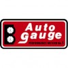 Auto Gauge