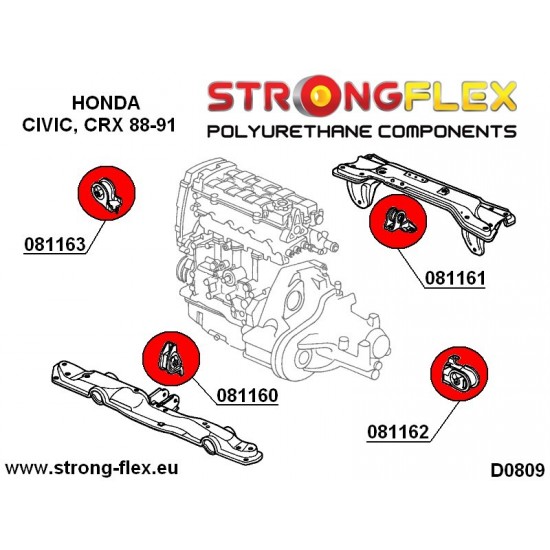 081163B: Engine mount inserts right side