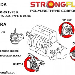 081253A: Gearbox insert mount SPORT