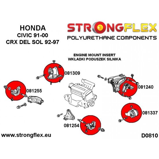 081255B: Engine right lower mount inserts