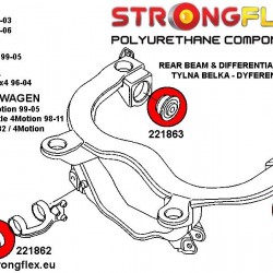 221862A: Rear diff mount - front bush SPORT
