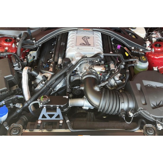 Coolant Tank Kit Ford Mustang 2011-14 Radium Engineering