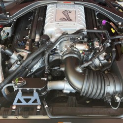 Coolant Tank Kit Ford Mustang 2015+ Radium Engineering