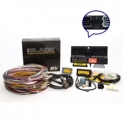 EcuMaster EMU Black kit 4