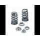 Valve springs Beehive SuperTech, Mini Cooper S R56 07-12 / (spring only - fits OEM retainer) (65lbs@33.6mm)
