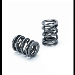 Valve dual springs SuperTech VW 2.0 / 1.8l 16v (82lbs@31.7mm)