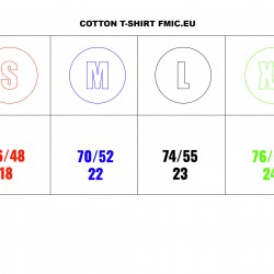 T-shirt FMIC.EU XL szary