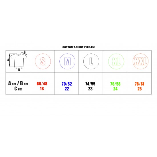 T-shirt FMIC.EU XL szary