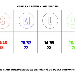 T-shirt FMIC.EU XL szary