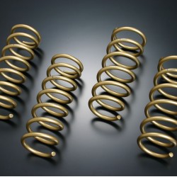 Tein High Tech Springs for Lexus IS F