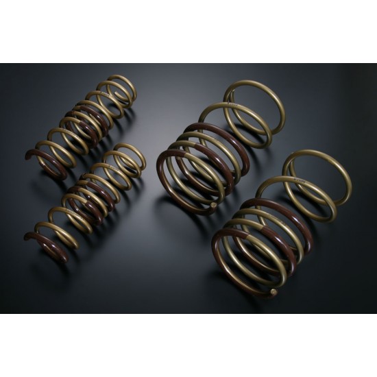 Tein High Tech Springs for Mitsubishi Galant (2WD)