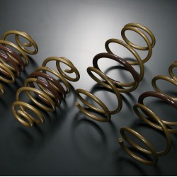Tein High Tech Springs for Nissan Juke
