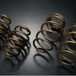 Tein High Tech Springs for Nissan Leaf