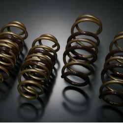 Tein High Tech Springs for Suzuki Swift Sport