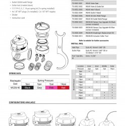 Wastegate Turbosmart TS-0552-1012 WG40 GenV Compgate 40 14psi