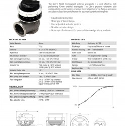 Wastegate Turbosmart TS-0552-1014 WG40 GenV Compgate 40 14psi