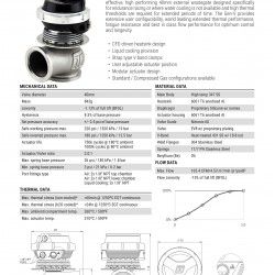 Wastegate Turbosmart TS-0552-1101 WG40M GenV Compgate 40 14psi Motorsport