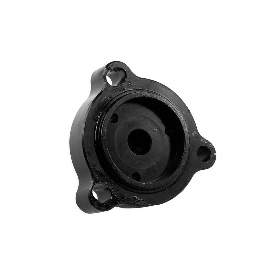 DV + valve for BMW M2 F87 FMIC.EU