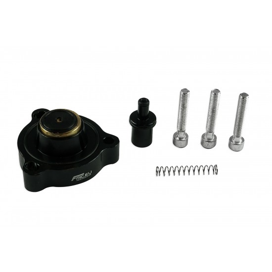 DV + valve for BMW M2 F87 FMIC.EU