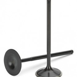 Exhaust valve Black Nitrided SuperTech for BMW E30 / E34 325 / 525 M20 B25 2.5L 12v 1977-1992 (STD)