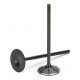Exhaust valve Black Nitrided SuperTech for BMW E30 / E34 325 / 525 M20 B25 2.5L 12v 1977-1992 (STD)