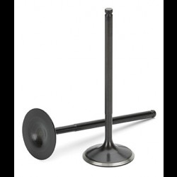 Exhaust valve Black Nitrided SuperTech for Honda Acura Integra GSR Del Sol Civic Si B16A B18C 1.6 1.8 DOHC VTEC 92-00 (STD)