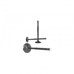 Exhaust valve Black Nitrided SuperTech, Honda Civic Type R / Accord K20 / K24 2.0l / 2.4l DOHC VTEC (STD Flat)