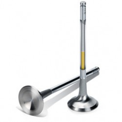 Exhaust valve Sodium SuperTech for Ford 1.6 Ecoboost 24.90mm (Std)