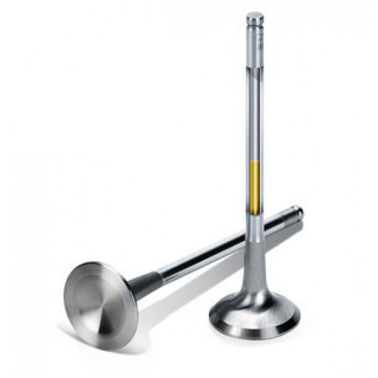 Exhaust valve Sodium SuperTech for Ford 1.6 Ecoboost 24.90mm (Std)